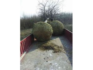 装车案例1