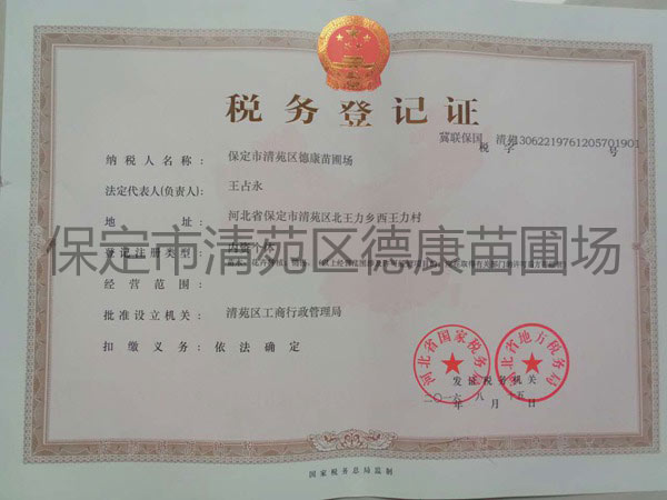 税务登记证内页