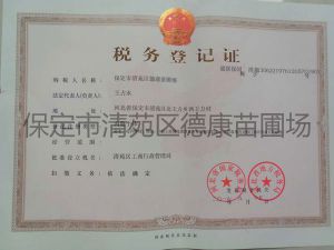 税务登记证内页