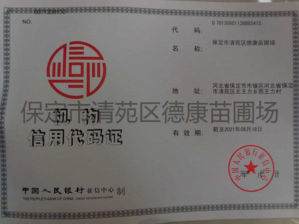 机构代码证件