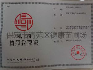 机构代码证件